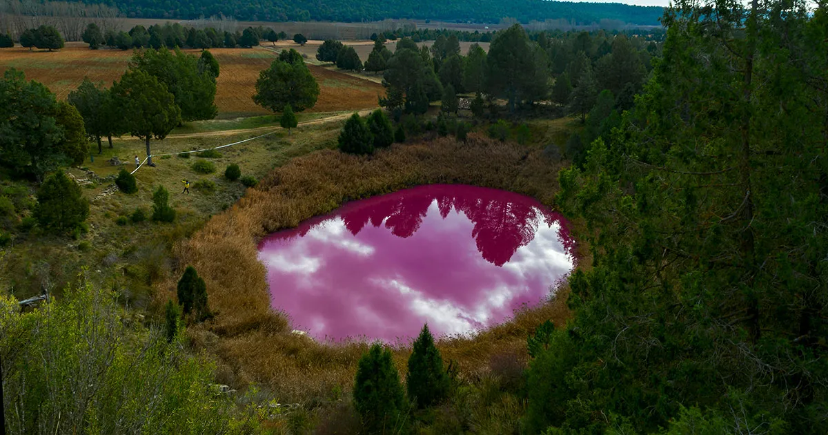 Lagoons of Cañada del Hoya