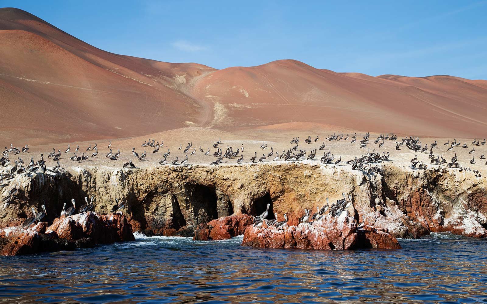 Pisco, Peru