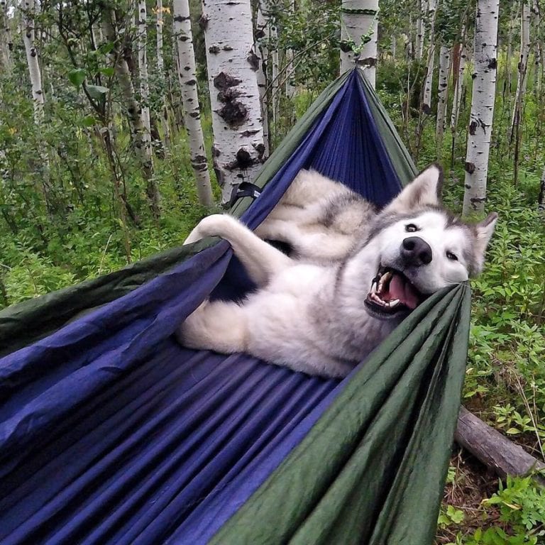 You'll Laugh Out Loud At These Hilarious Camping Photos