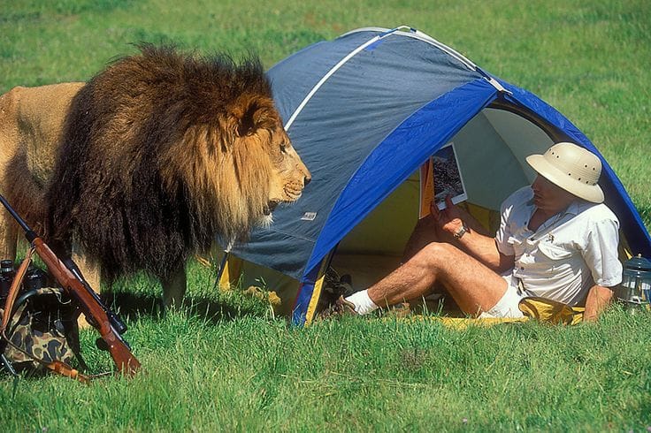 You'll Laugh Out Loud At These Hilarious Camping Photos