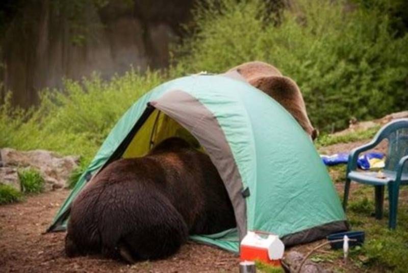 You'll Laugh Out Loud At These Hilarious Camping Photos