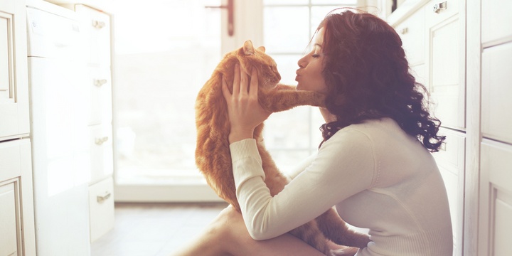5 Creatures That Can Sense Danger and Disease in the Human Race Cats