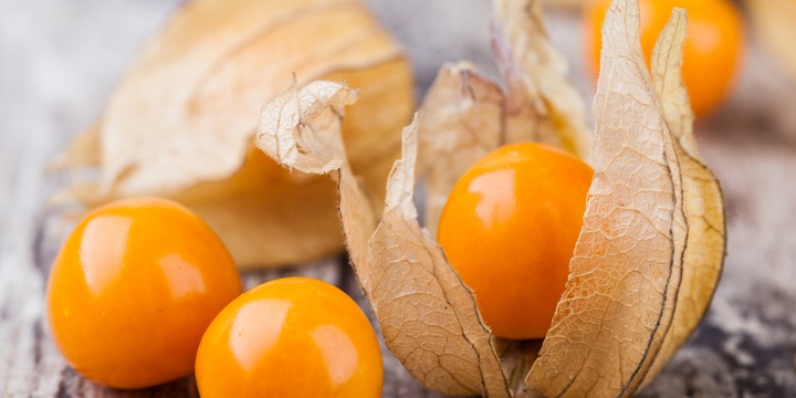 5 Exceptionally Delicious and Rare Fruits Physalis